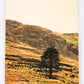 Badly Made Books  A5 Lined Notebook - Leenane Cover