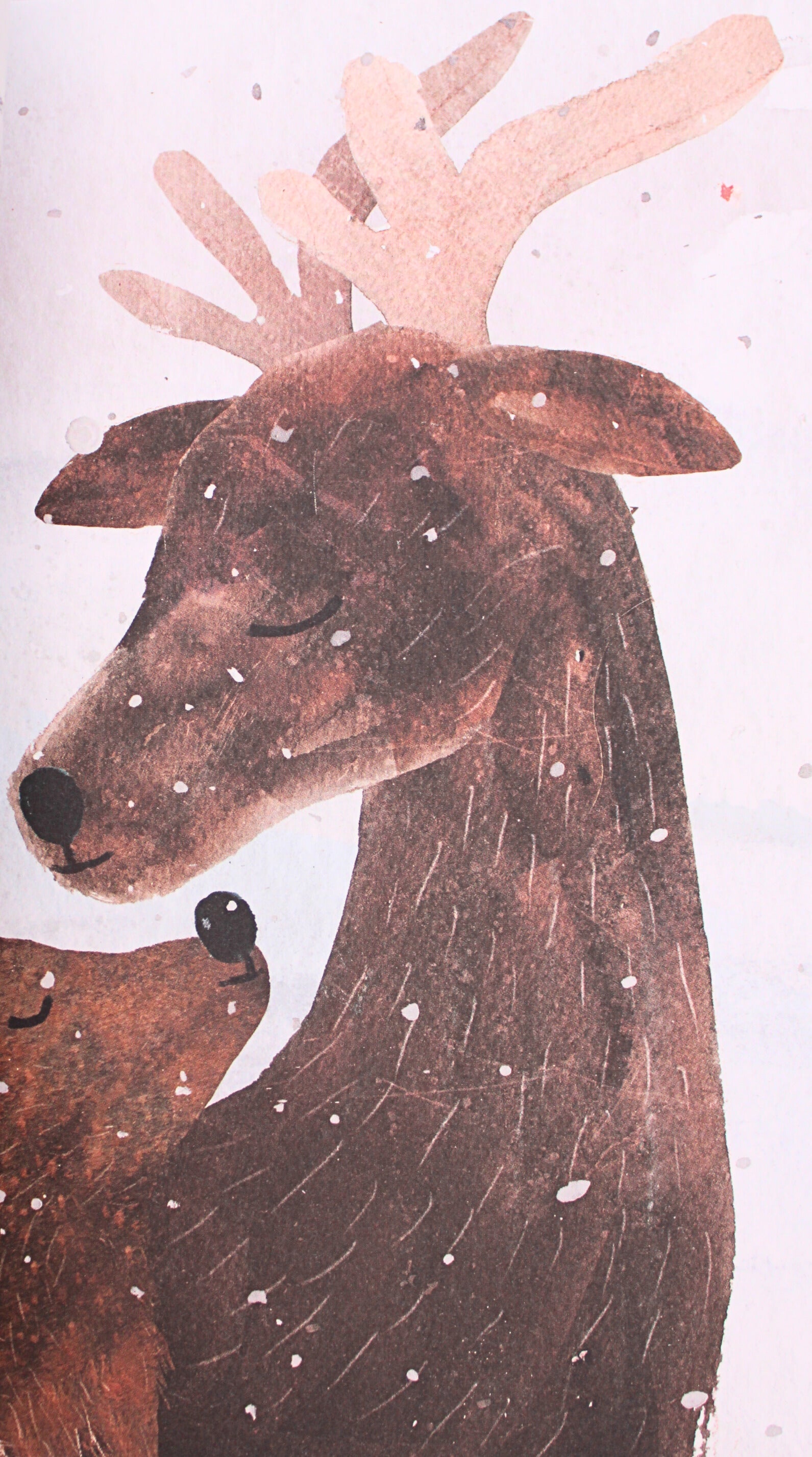 Illustration from The Robin and the Reindeer