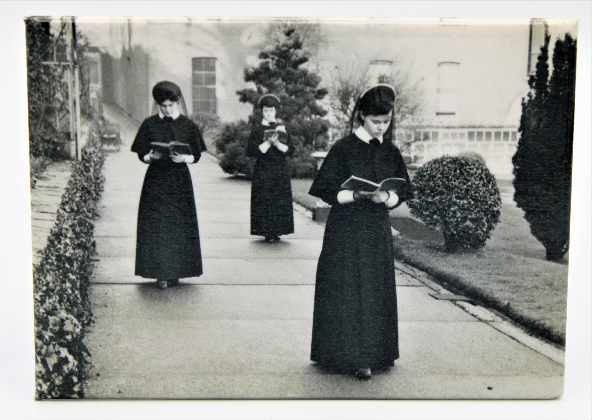 Postulants in the Garden of South Presentation Convent, 1964 Fridge Magnet