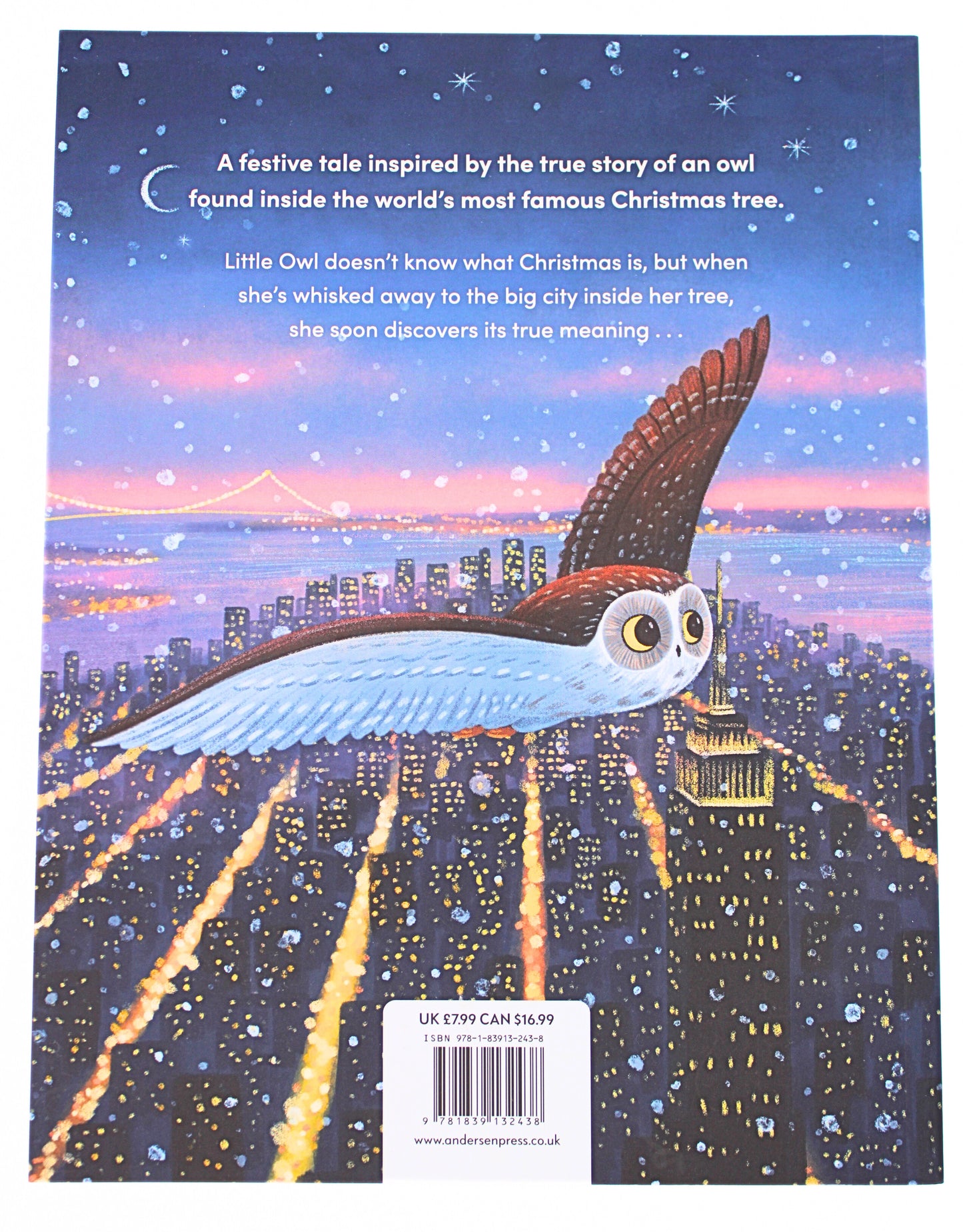 Back Cover of The Christmas Owl by Ellen Kalish and Gideon Sterer