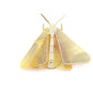 Fundamental Berlin Gold Flatemate - Moth