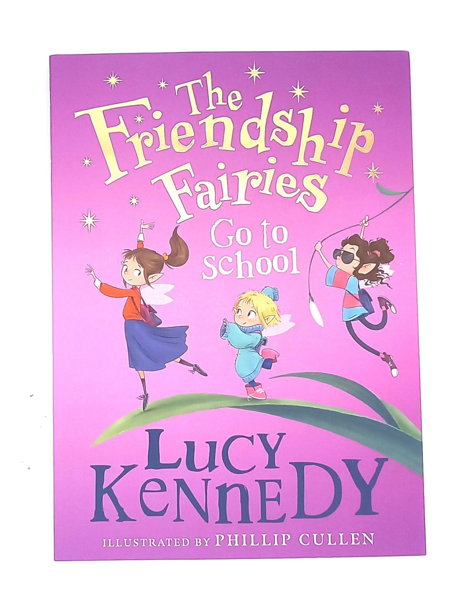The Friendship Faeries Go To School Paperback Book