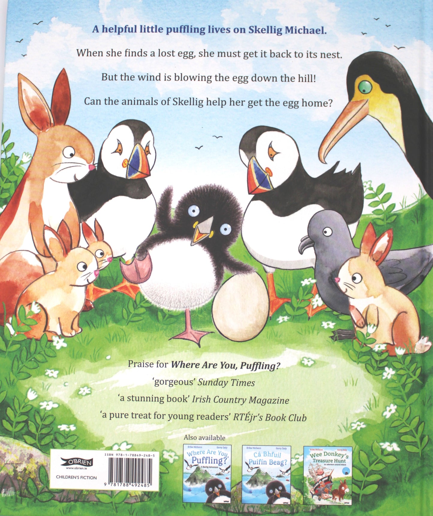 Back Cover of Puffling and the Egg Hardback Picture Book