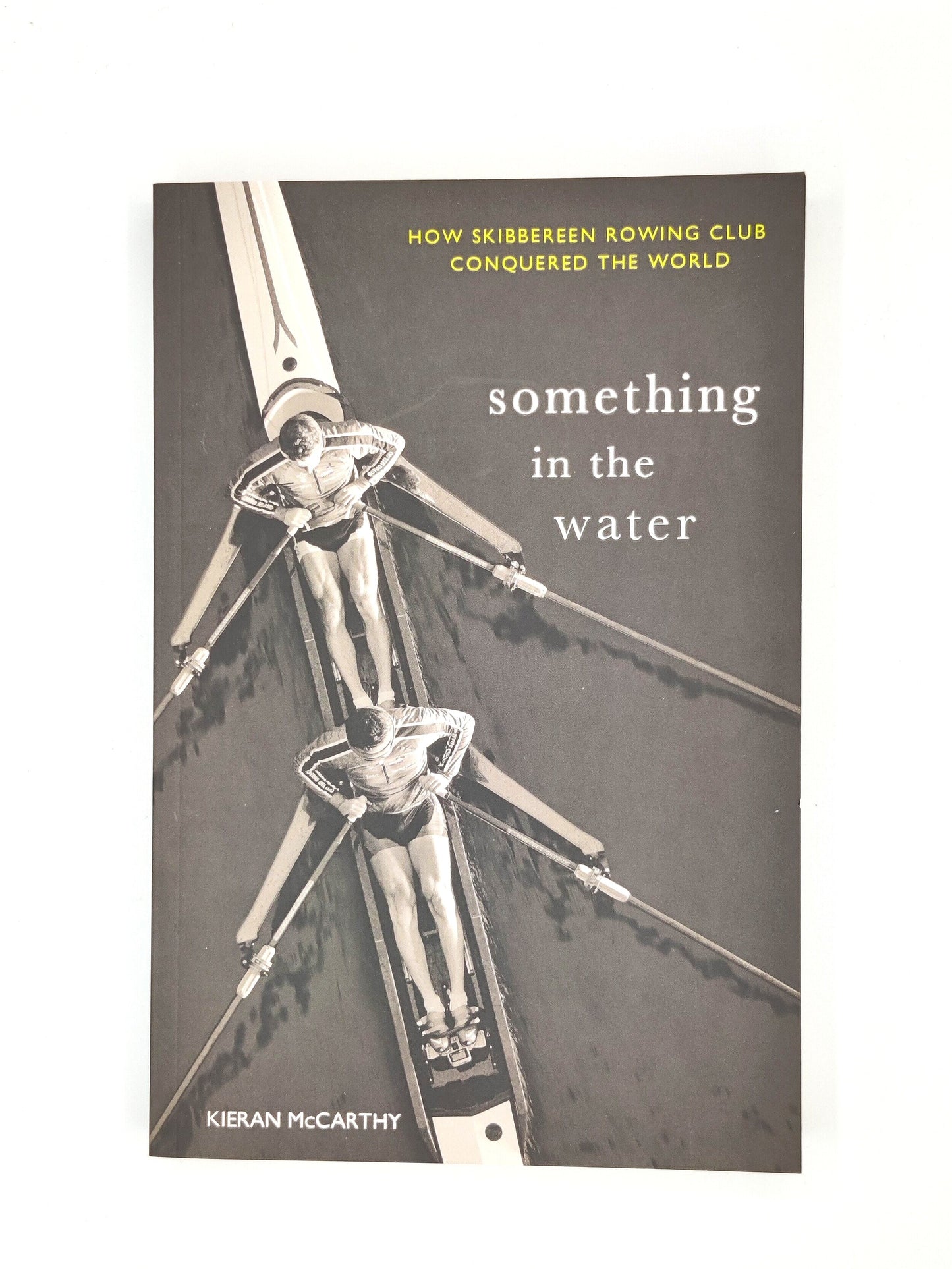 Something in the Water Paperback Book