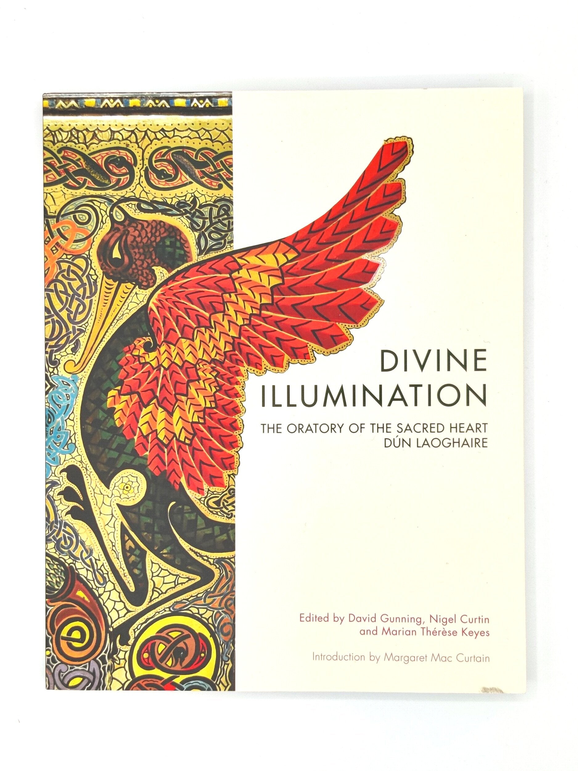 Divine Illumination: The Oratory of the Sacred Heart Dun Laoghaire Front Cover