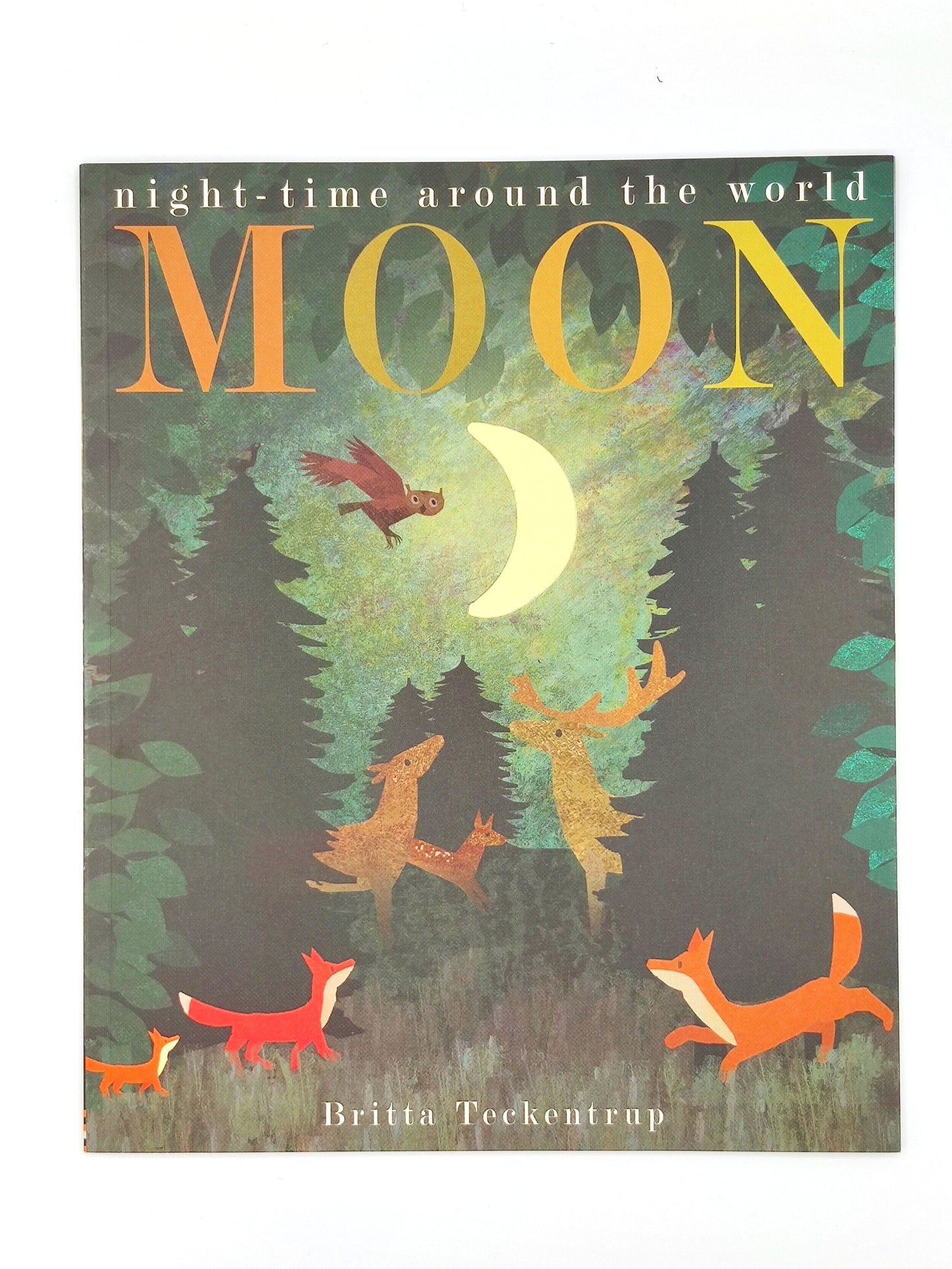 Night-Time Around the World: Moon Picture Book