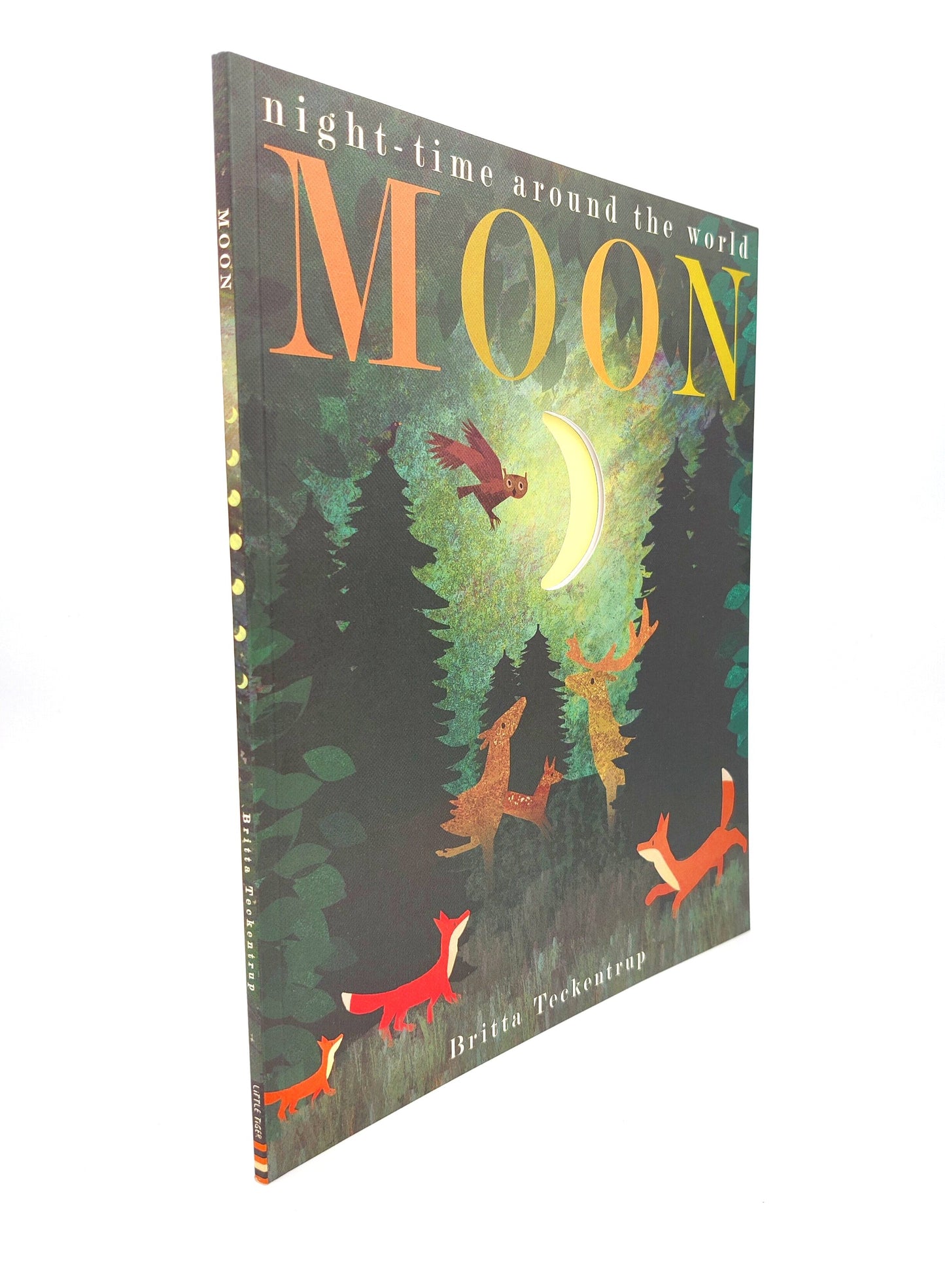 Side View of Night-Time Around the World: Moon Picturebook