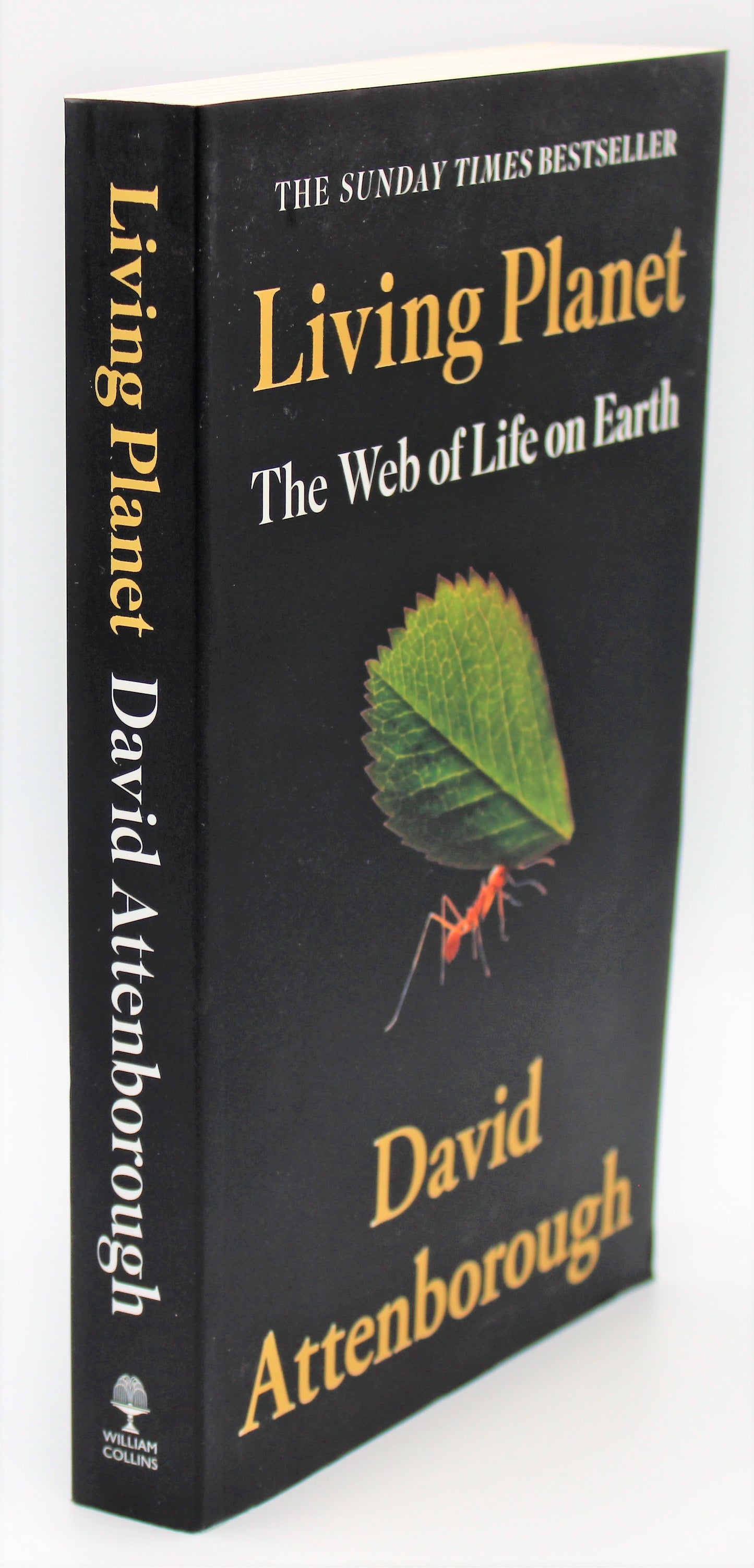 Living Planet: The Web of Life on Earth side view
